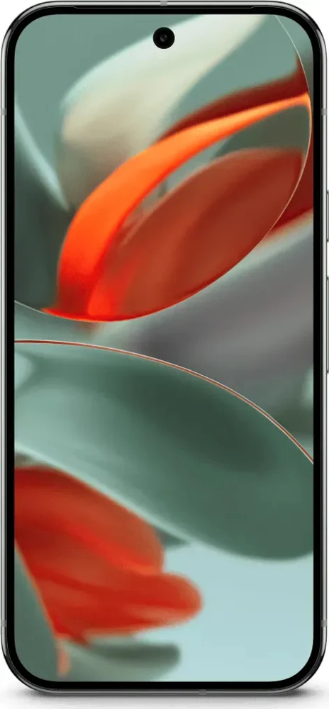 Google Pixel 9 Pro XL 5G 16/256 GB (Hassel)